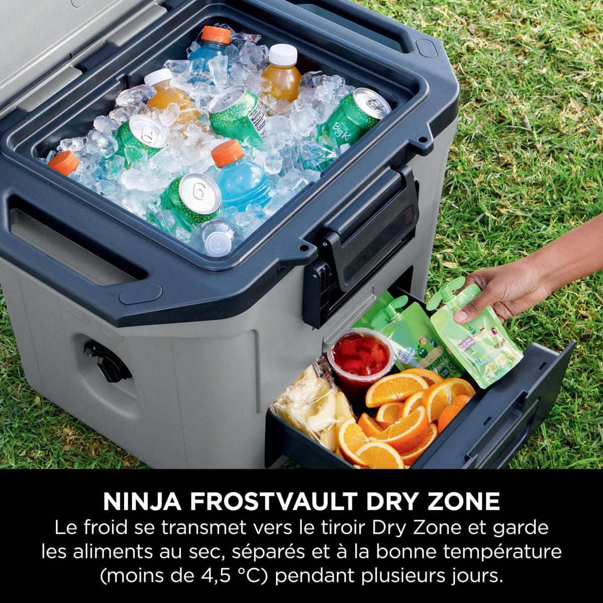 Ninja FrostVault Hard Cooler, High-Quality Ice Keeper, Keeps Ice Cold for Up to Days, Built-in Dry Storage Drawer at Refrigerator Temperature