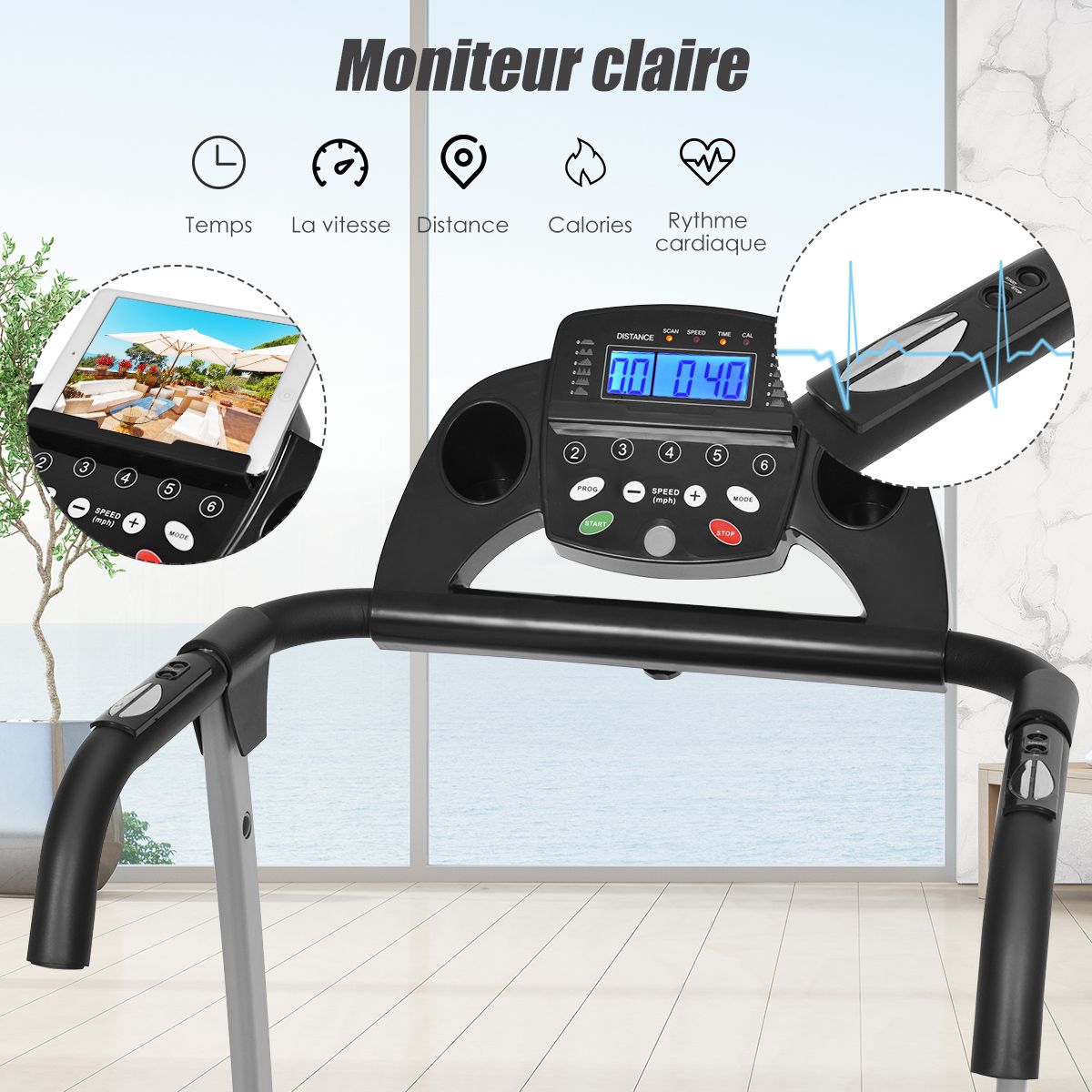 Foldable Electric Treadmill with Screen and Heart Rate Monitor with Speed from 1 to 10 km/h and 12 Programs - Black